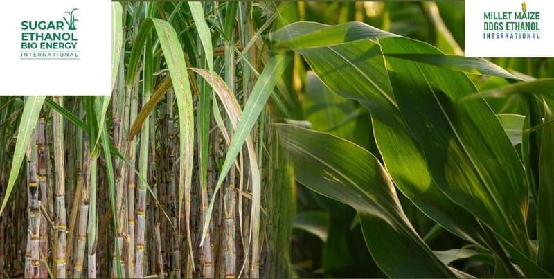 www.sugarethanolbioenergy.com / mmdeinternational.com - 🌽 Brazil’s corn ethanol boom is driving a surge in production — and it’s pushing global sugar prices 🍬📉 lower!