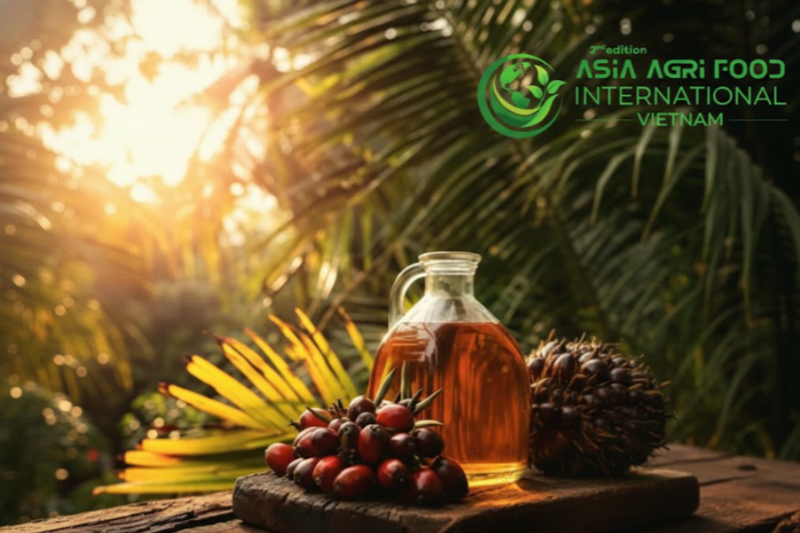 www.asiaagrifood.com - 🌴💹 Palm Oil Dips 📉 Traders Hold Breath ⏳ Ahead of Export Data 📊