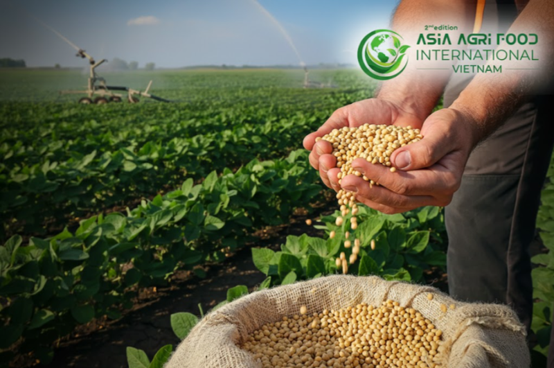 www.asiaagrifood.com - 🤝🌱 China Achieves 12 Million Ton U.S. Soybean Buying Target in Trade Deal Milestone