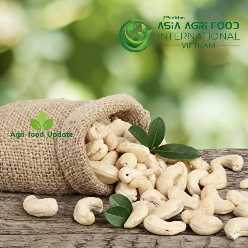 www.asiaagrifood.com - 🌰 Cashew Industry Poised for Growth: Revenue Potential Hits 💵 US$660M 🚀