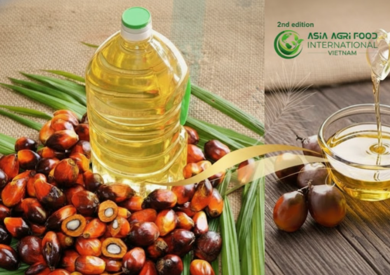 🌴 Malaysian Palm Oil Rises 📈 as Exports Stay Strong 🚢 - www.asiaagrifood.com