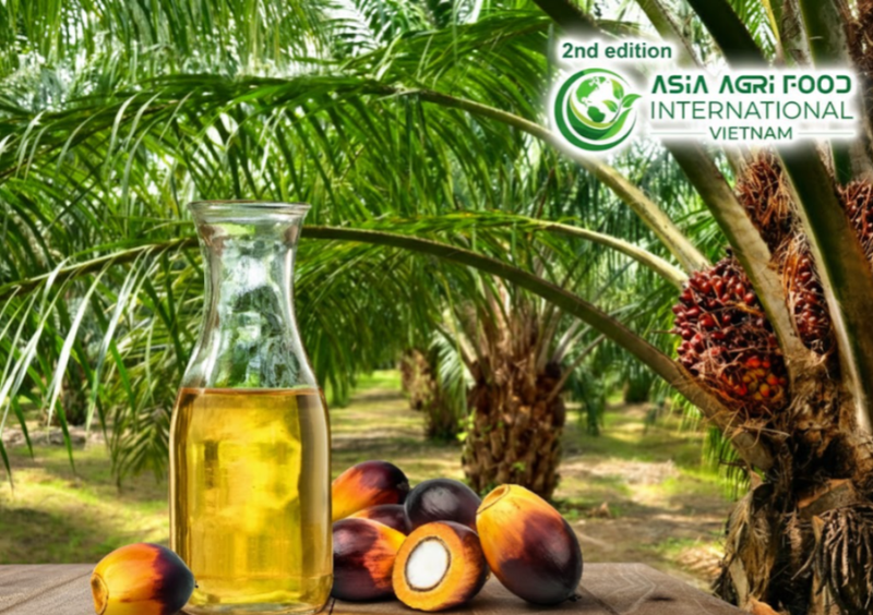 🌴 Palm Oil Retreats, Still on Track for Gains - www.asiaagrifood.com