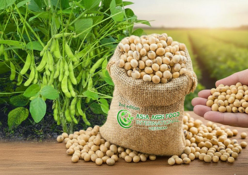 🌱️ Soybeans See Monday Weakness, Despite Export Business ✈️ www.asiaagrifood.com
