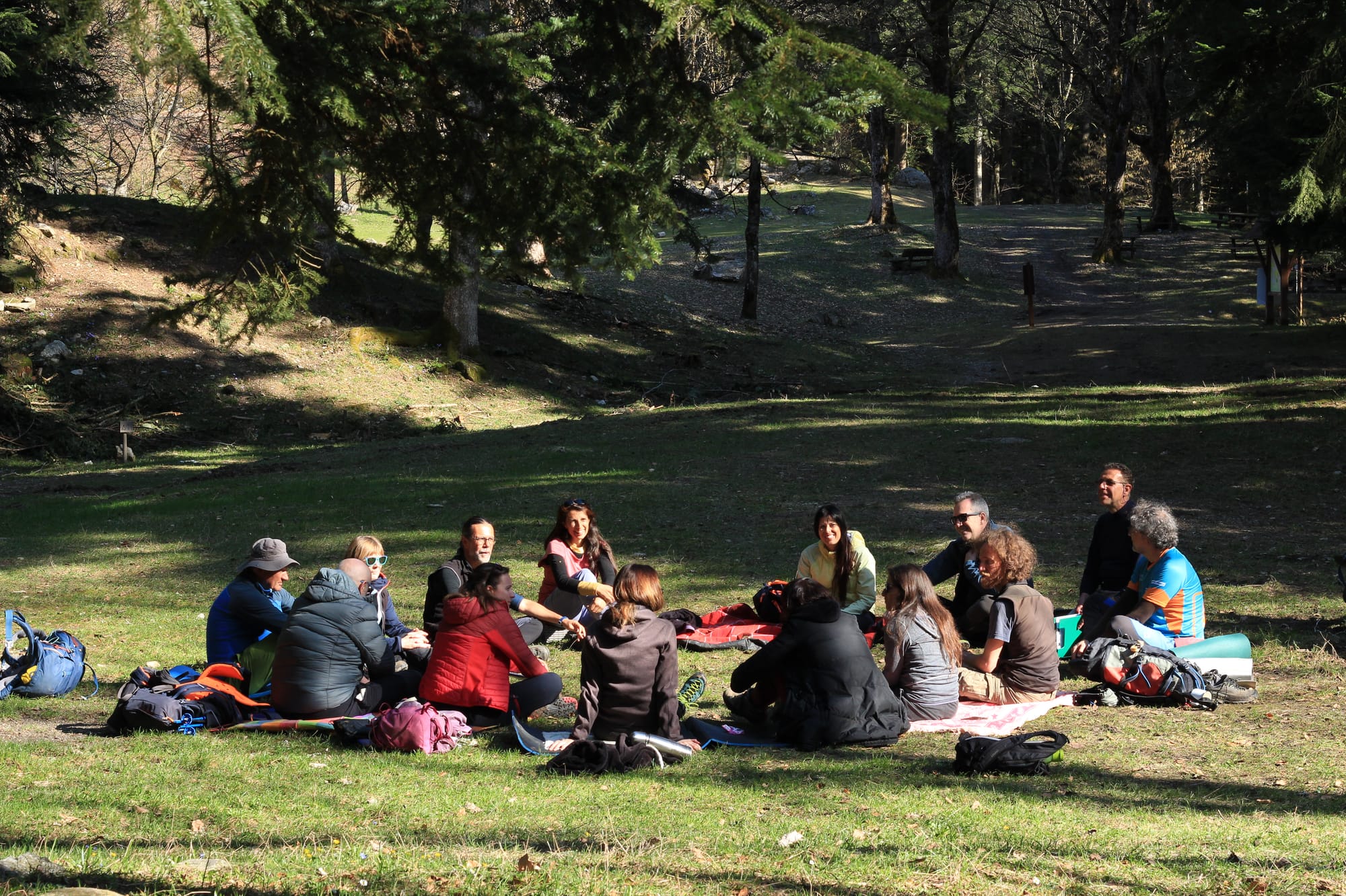 La guida completa al Forest Bathing