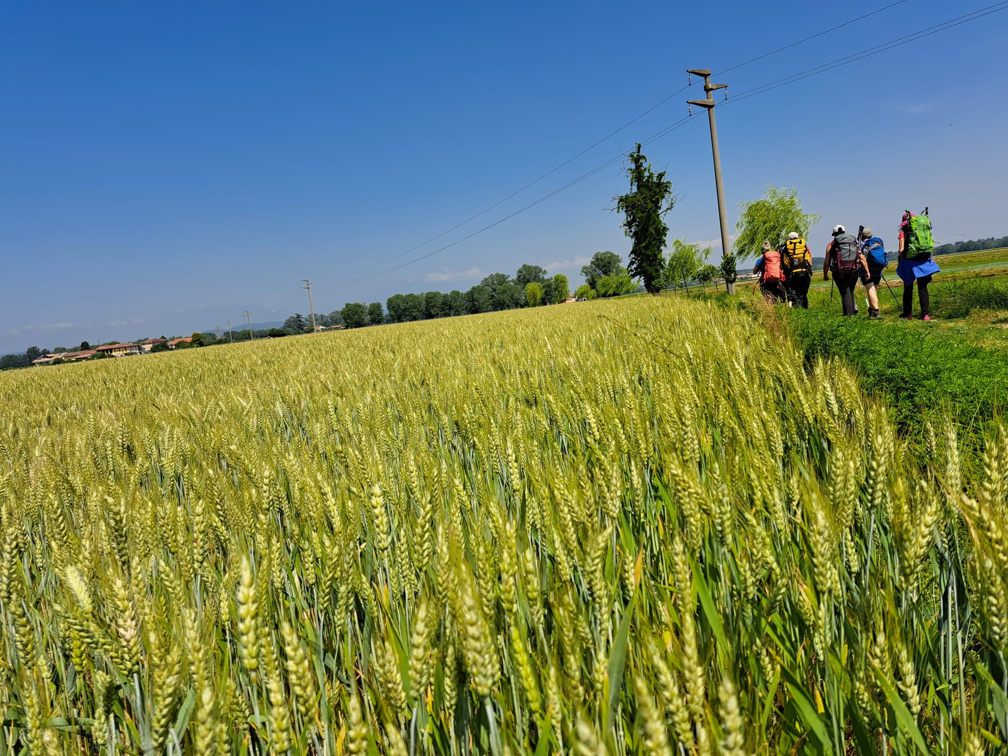 Guida completa al Cammino di Oropa "meditativo"