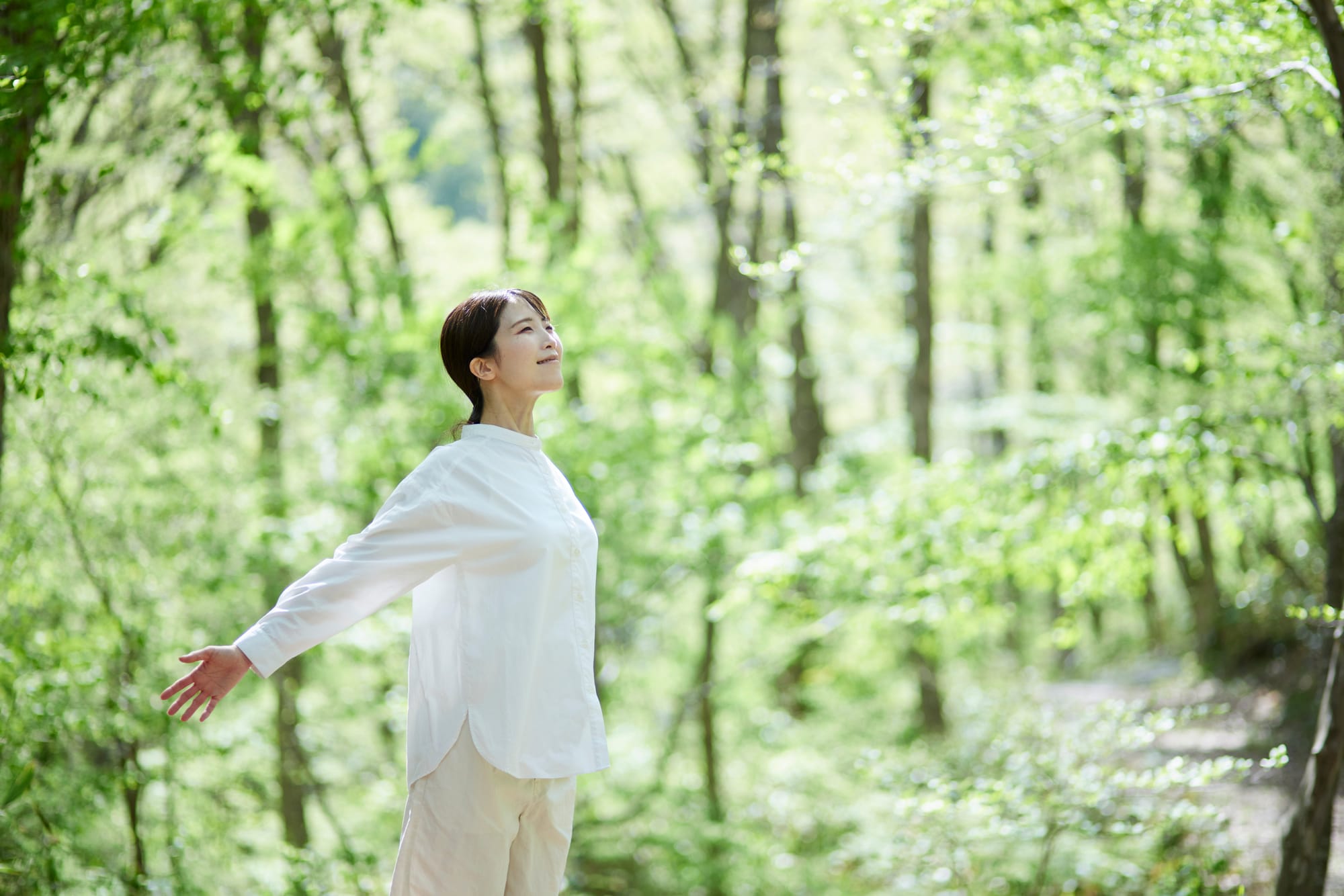 Il Forest Bathing = il "bagno di foresta"