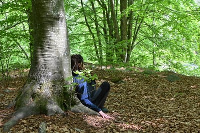 Il FOREST BATHING: 100% BENESSERE nei BOSCHI