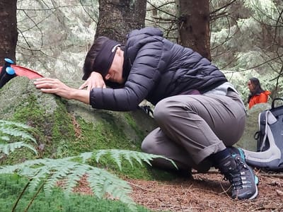 BIOFILIA & FOREST BATHING: l’amore per la vita e la natura