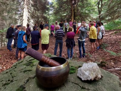 MUSICA e FOREST BATHING: VIBRAZIONI di BENESSERE