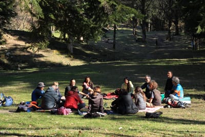 La guida completa al Forest Bathing