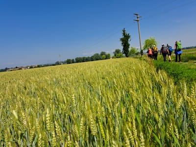 Guida completa al Cammino di Oropa "meditativo"
