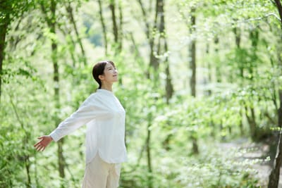 Il Forest Bathing = il "bagno di foresta"