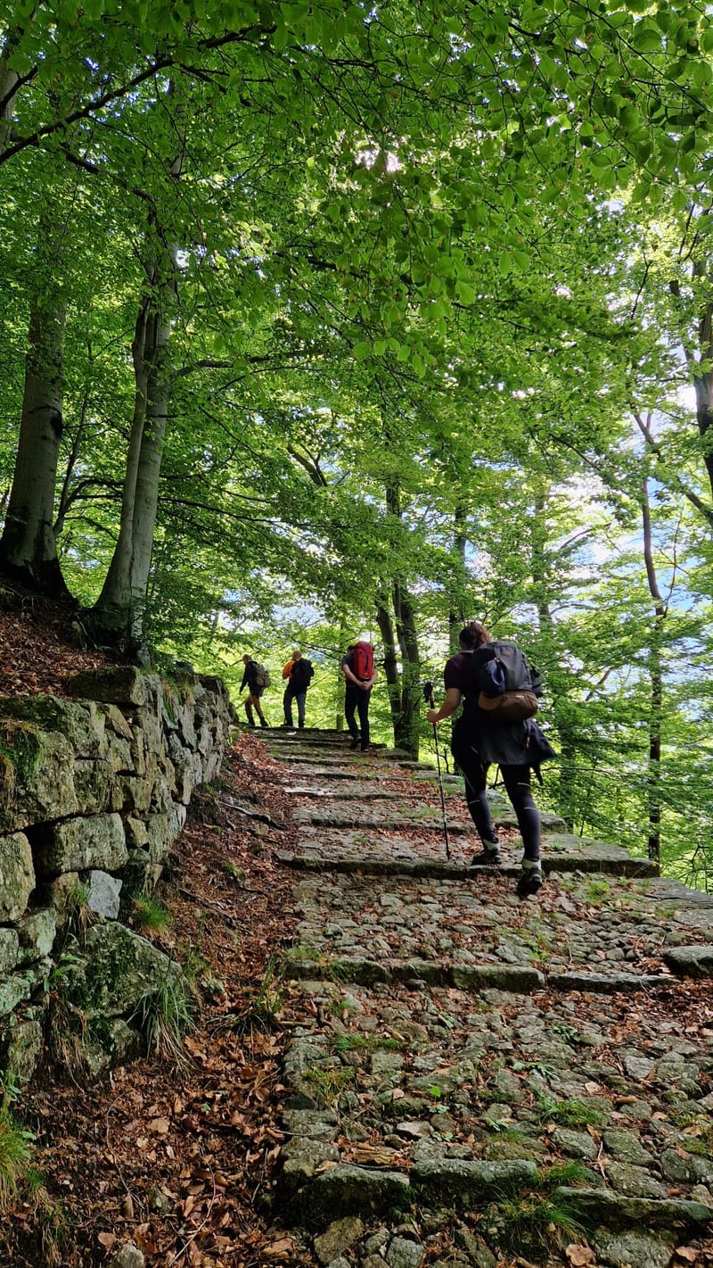 Il Cammino che Unisce