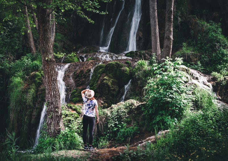 FOREST BATHING in OASI ZEGNA