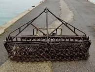 Ouverture de la coquille Saint-Jacques en Baie de Saint- Brieuc ...