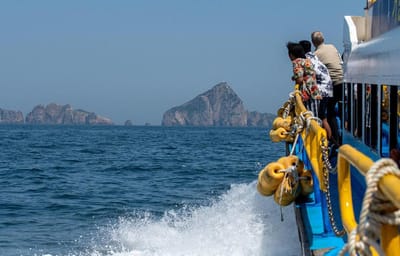 Un bateau touristique avec 89 passagers à bord chavire et coule au large de Bali. Aucun mort ni blessé.