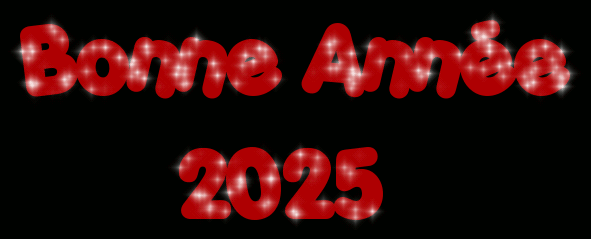 Bonne Année 2025