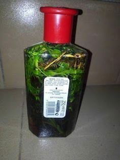 Le Puissant Parfum de Chance : Une Arme Secrète pour Réussir