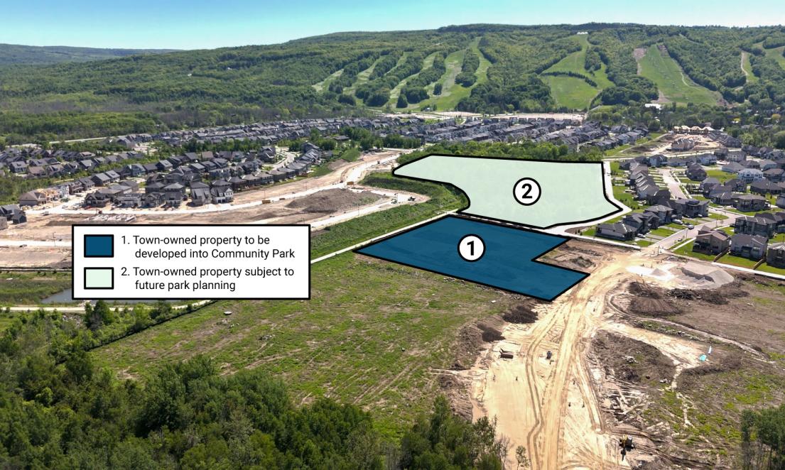 Town Hosting Design Open House for Craigleith Community Park