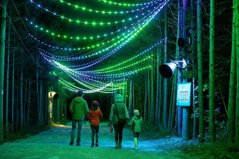 Celebrate Fall in Full Flavor: