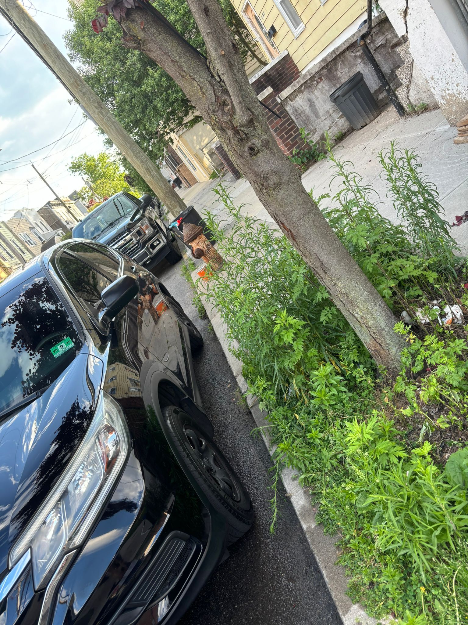 HEADLIGHTS RESTORATION