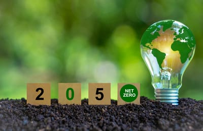 Investigating Sustainable Business Practices for future: A Comparative Study of Green Entrepreneurship in the Global North and South(Serial Num: 0013-25-04)