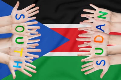 Applying Transformational Leadership Theory in Post-Conflict Health Systems: The Case of South Sudan (Serial Num: 0014-25-07)