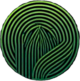 Bugge Plan & Prosjekt