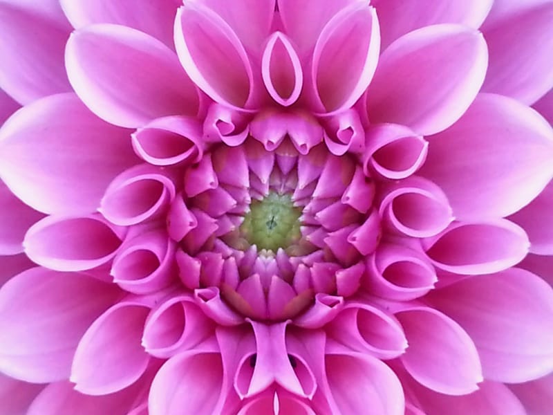 Accompagnement mensuel