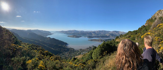 Recent walks