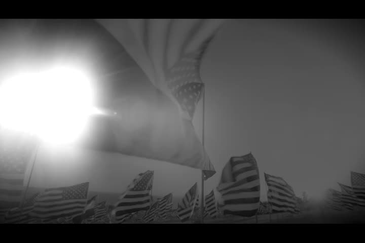 VETERANS MEDICAL LEADERSHIP COUNCIL