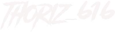 Thoriz Portafolio
