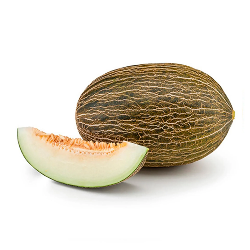 Melon Piel de Sapo – La pépite hivernale cultivée à Dakhla par LEAF AGRI