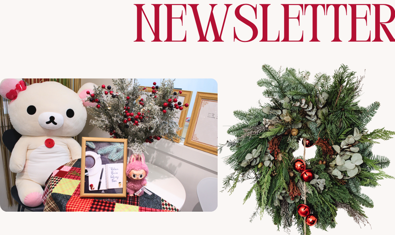 Newsletter November 2025