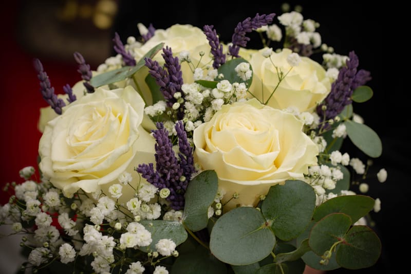 Bodas