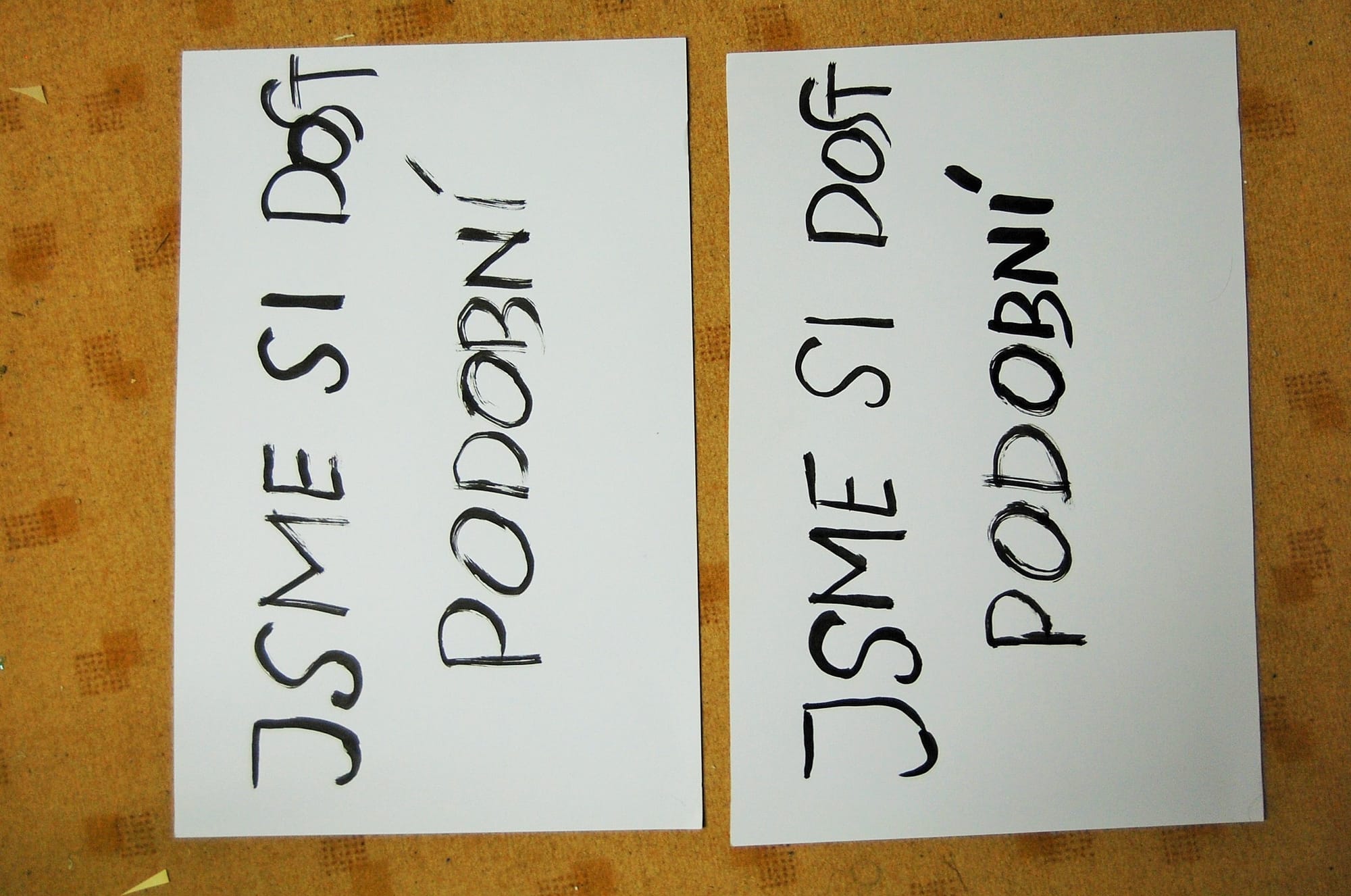 2014, diptych A4 Tuš na papíře