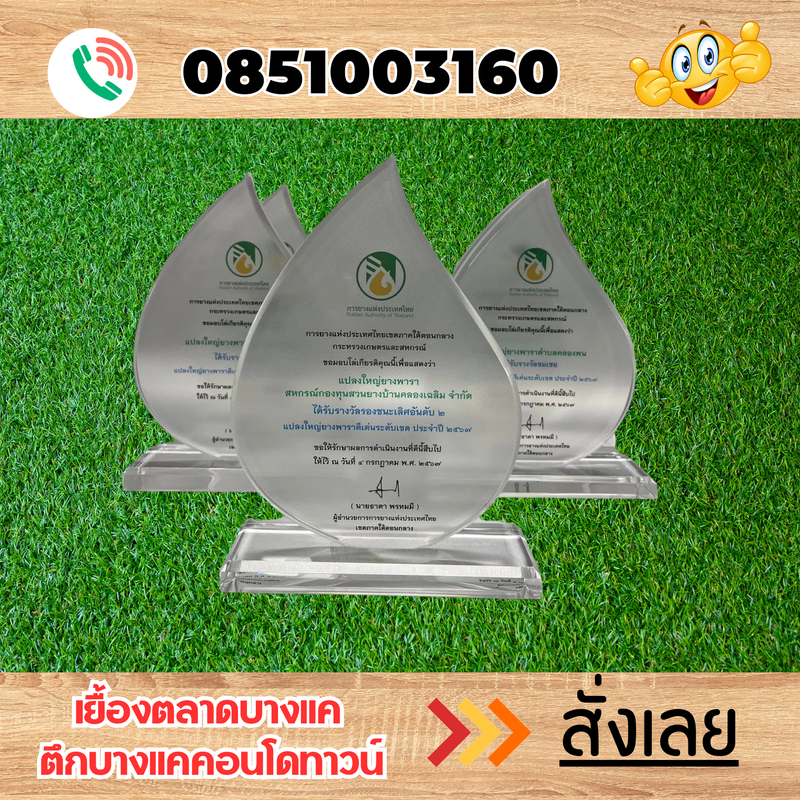 ชมสินค้าเพิ่ม