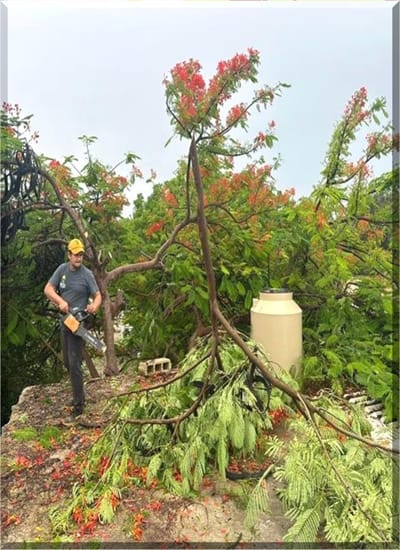 JARDINERÍA
