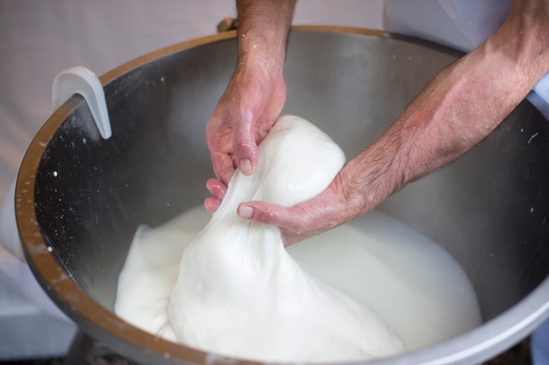 KAŞAR/MOZZARELLA PEYNİRİ YAPIMI