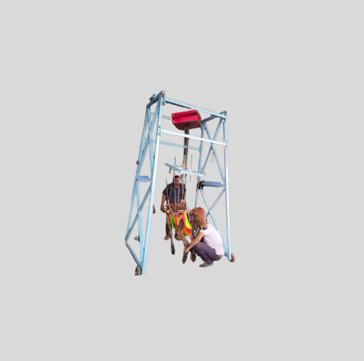 Cow Lift