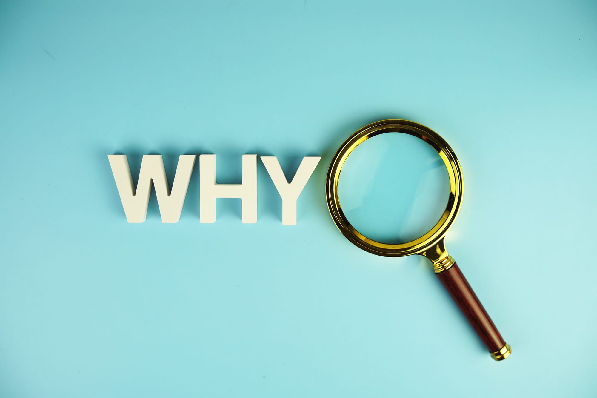 The Power of WHY: Transforming Your Business Through Purposeful Leadership