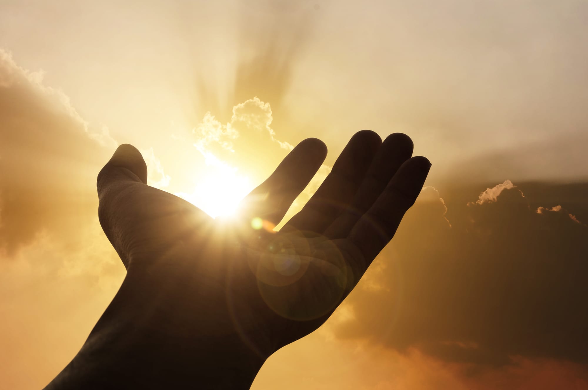 THE IMPORTANCE OF UNDERSTANDING WHY GOD GAVE US A SPIRIT, WHAT IS ITS PURPOSE  FROM A BIBLICAL STANDPOINT? Written by Diana Jackson