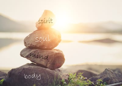 The Body-Soul-Spirit Connect For Health and Wellbeing Through the Lense of the Bible written by Diana Jackson