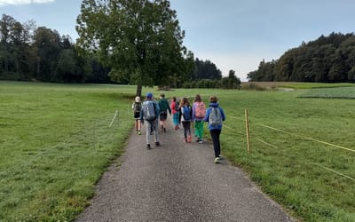 Platz für einen Blog zu vermieten!