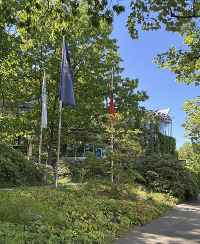 Sylvia wins a DBU PhD fellowship