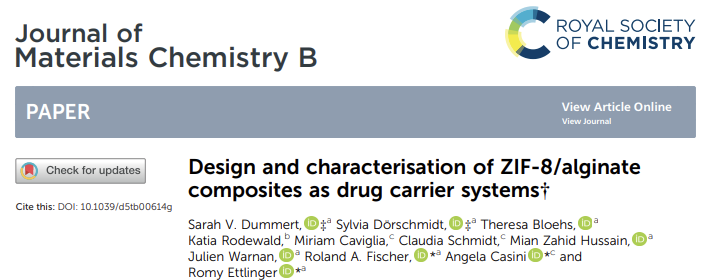 Design and characterisation of ZIF-8/alginatecomposites as drug carrier systems