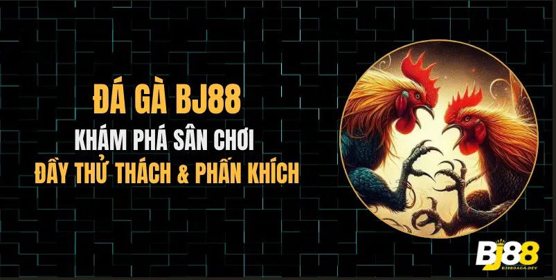 Cùng Đá Gà BJ88 chiến thắng và nhận những phần thưởng giá trị từ những trận đấu hấp dẫn