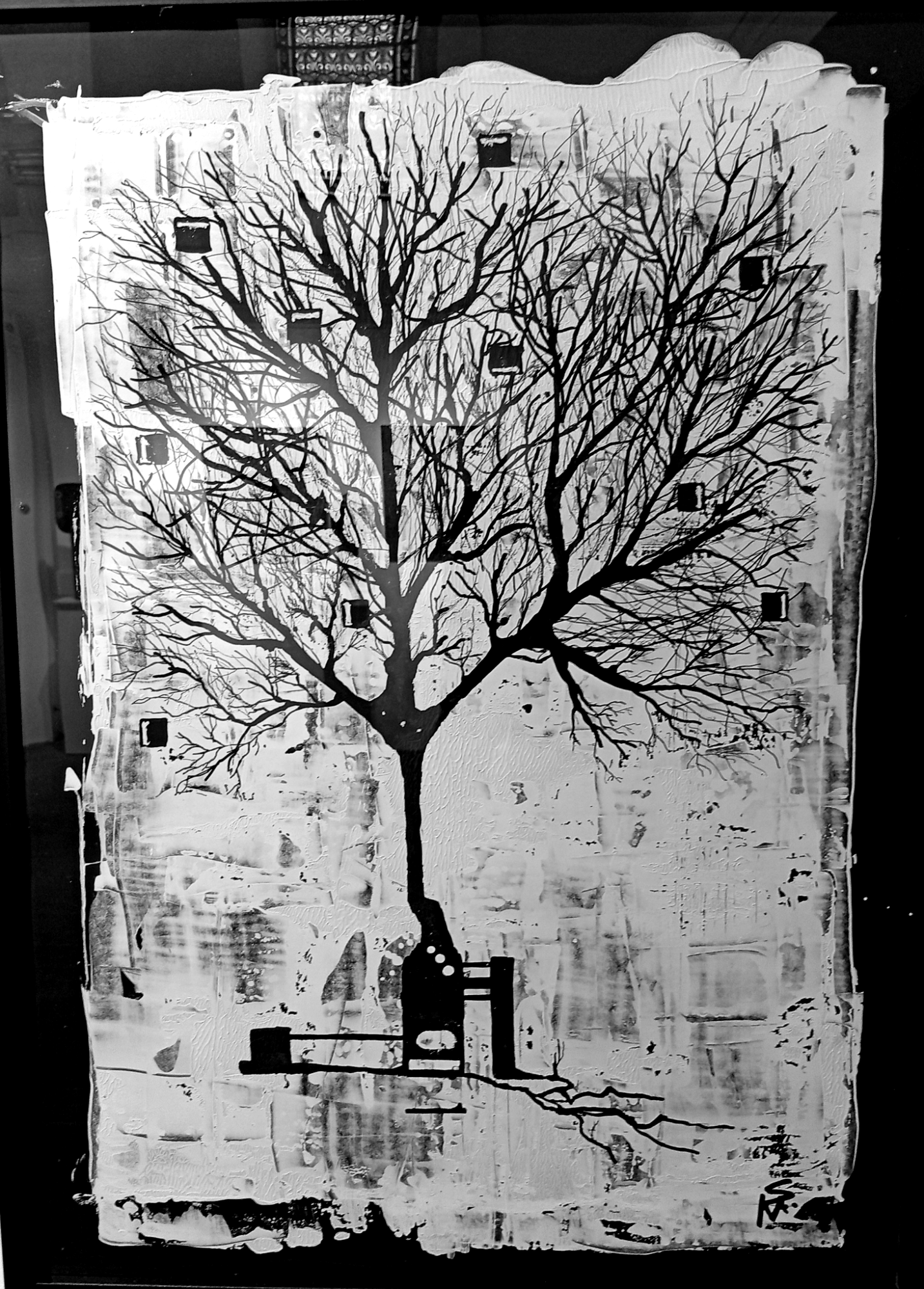 Série  " free tree "