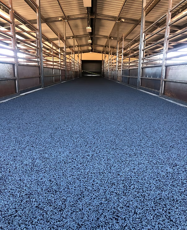 Installation of Hoof Grip