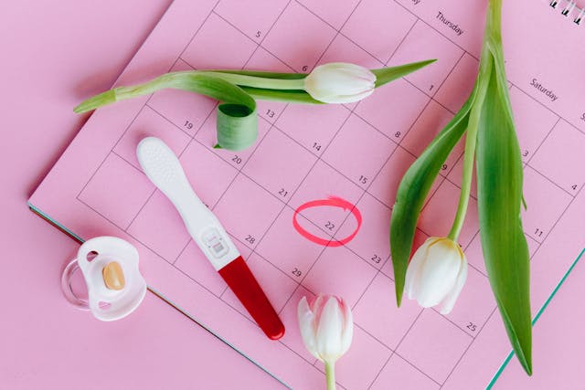 Antenatal Care: What to Expect at Each Visit